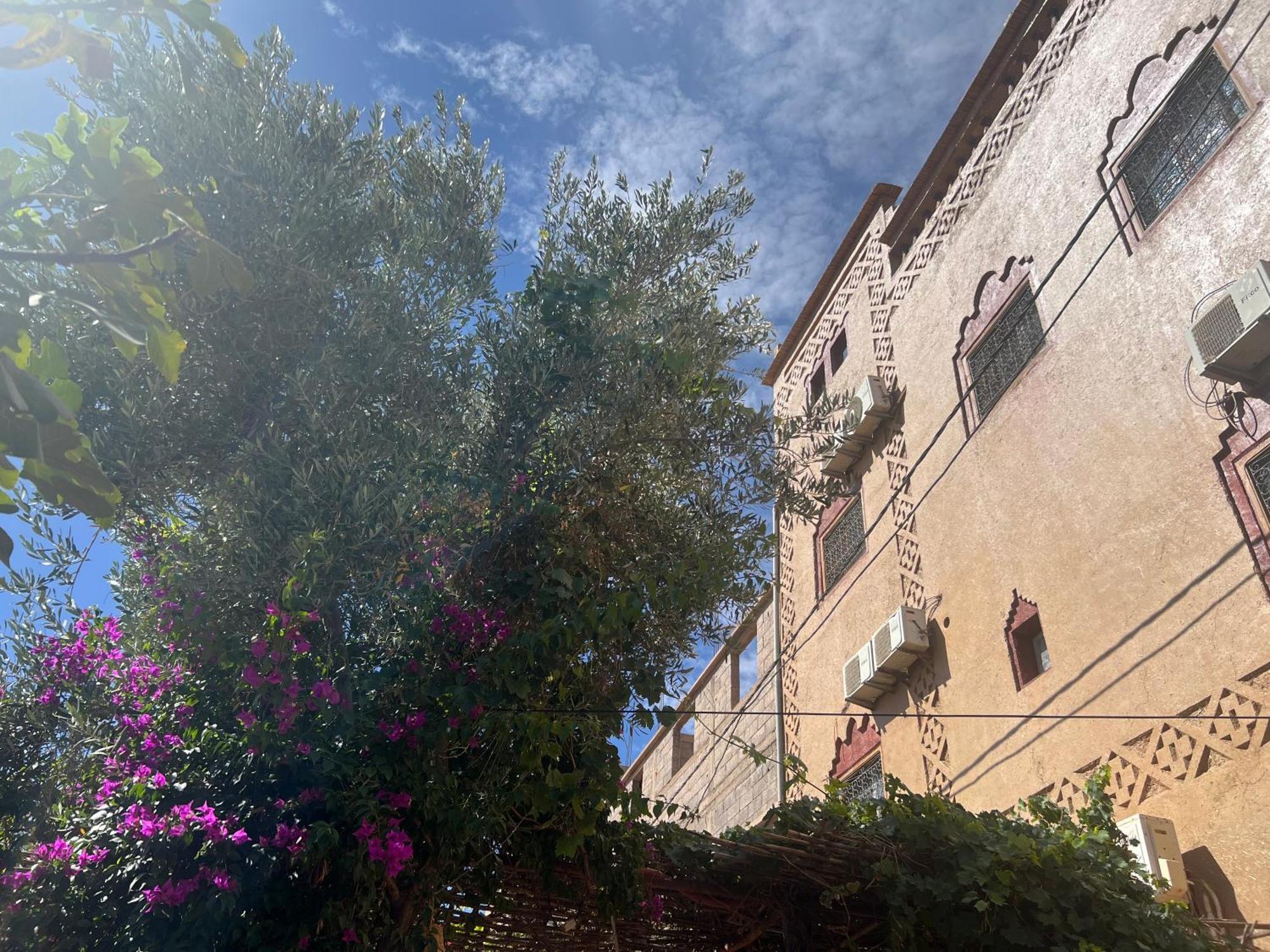 Dar Calme Chez El Bouhali Hotell Skoura Eksteriør bilde